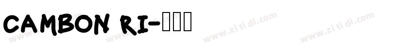 cambon ri字体转换